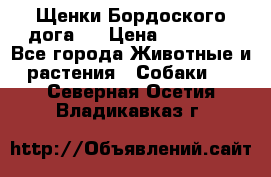 Щенки Бордоского дога.  › Цена ­ 30 000 - Все города Животные и растения » Собаки   . Северная Осетия,Владикавказ г.